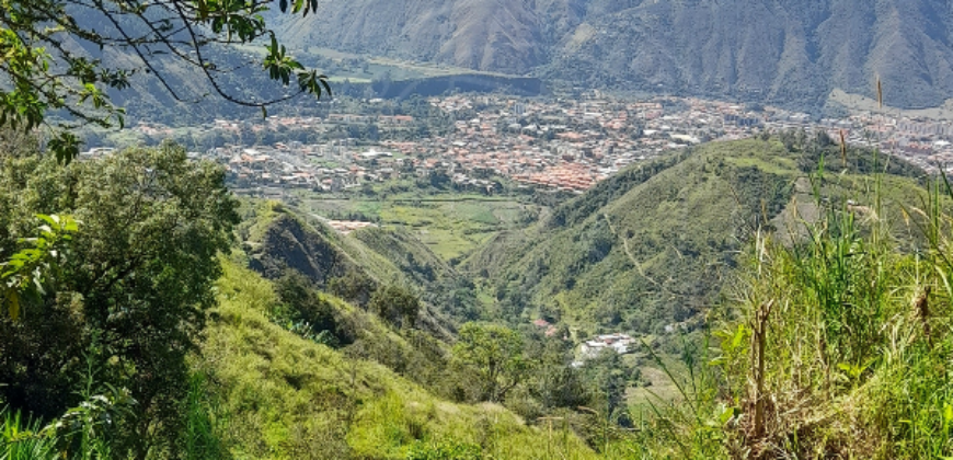 En Venta Terreno  Manzano Alto  Mérida – Venezuela